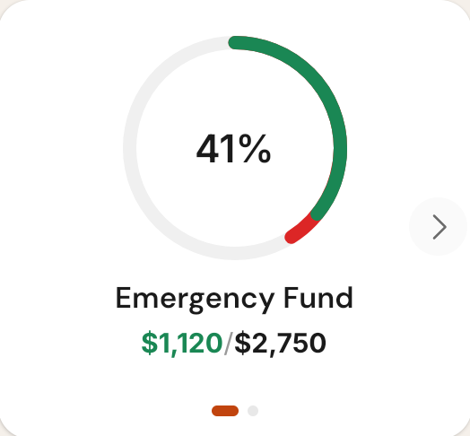 Emergency fund goal ring at 41%